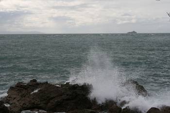Wellen und Felsen vor Tauranga