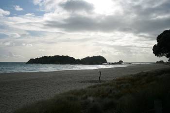 Der Strand von Tauranga