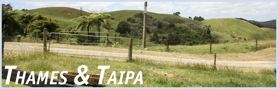 Herzlich willkommen auf meinem Reisetagebuch Thames und Taipa in Neuseeland
